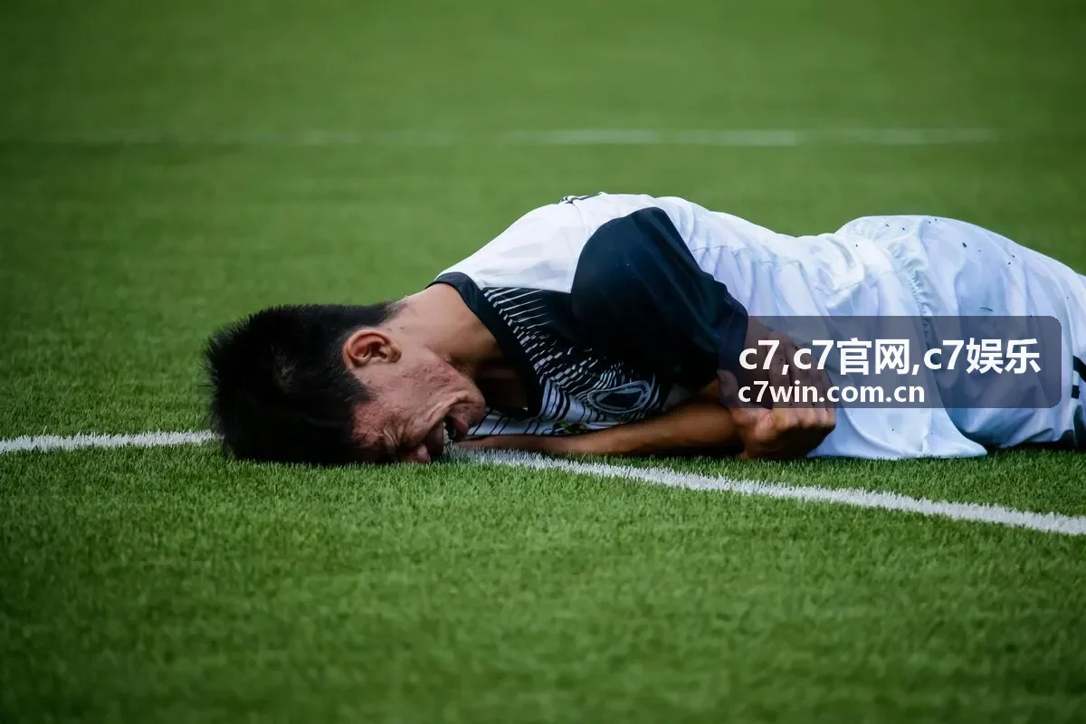c7官网服务指南内容聚合封面